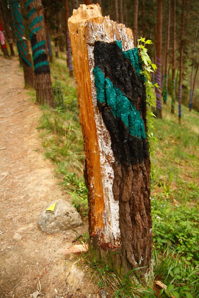 La naturaleza trabajando